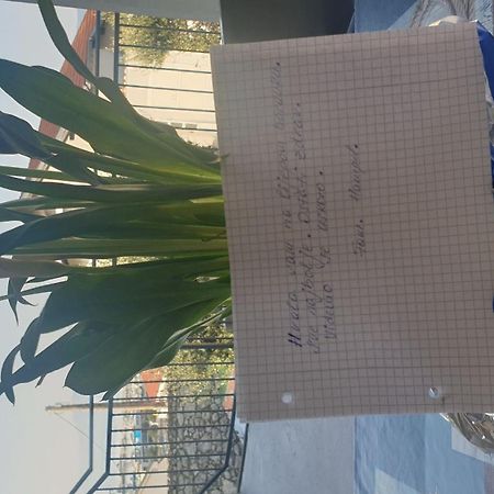 Apartment Goran ノヴィ・ヴィノドロスキー エクステリア 写真