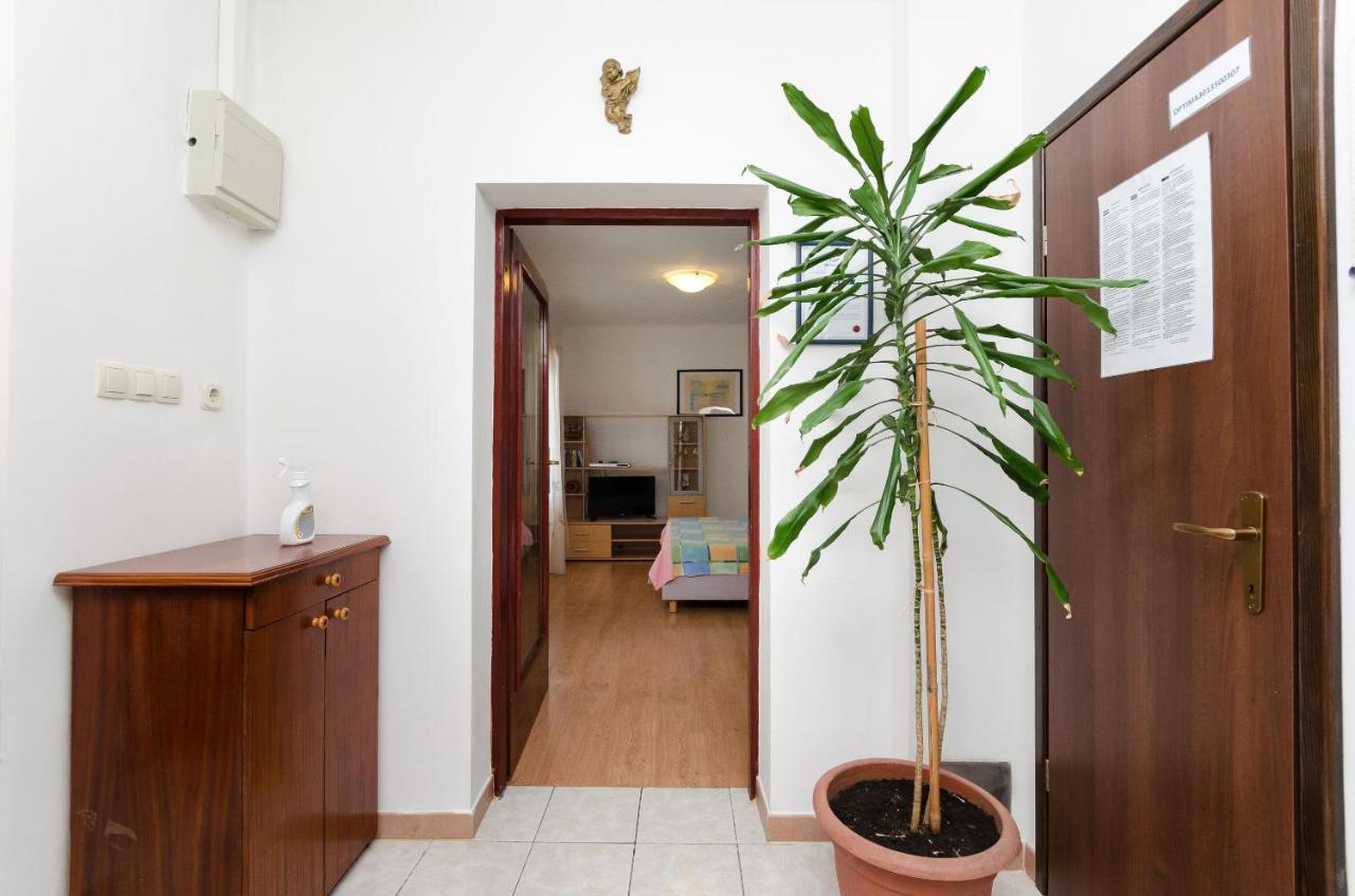 Apartment Goran ノヴィ・ヴィノドロスキー エクステリア 写真